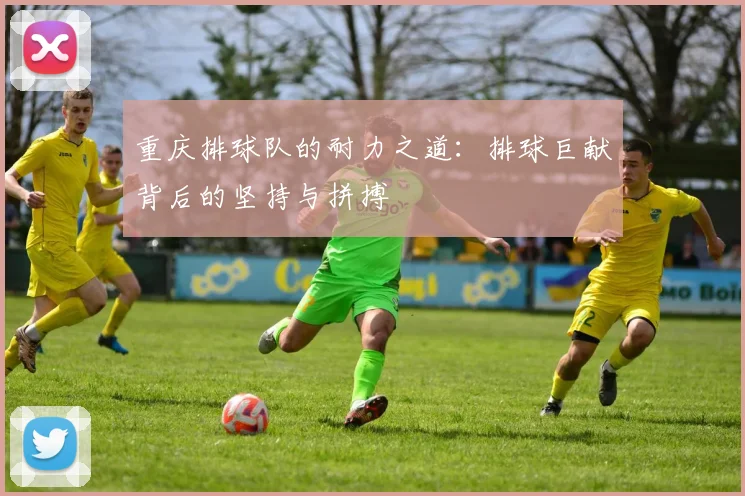 重庆排球队的耐力之道：排球巨献背后的坚持与拼搏